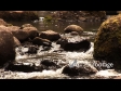 River4 428